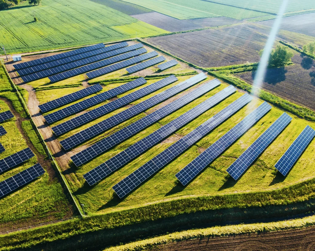 A field of crops with solar panels installed, demonstrating agriculture solar solutions.